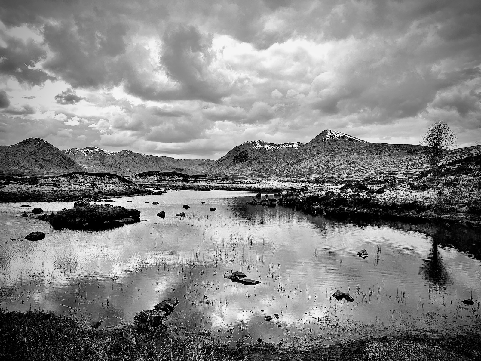 Rannock Moor - Viv Scurrell